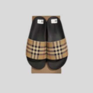 Burby Slides