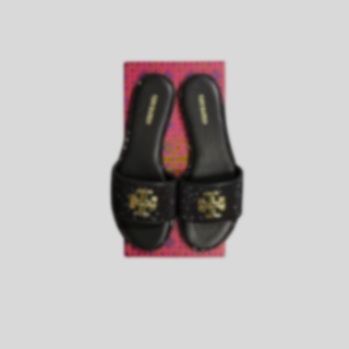 TB Sparkle Slides
