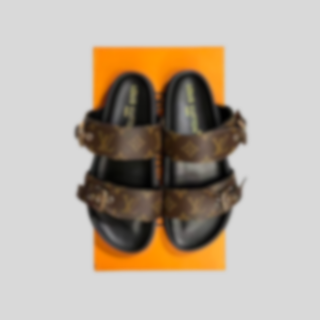 V.l slides